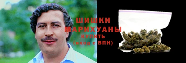сатива Аркадак