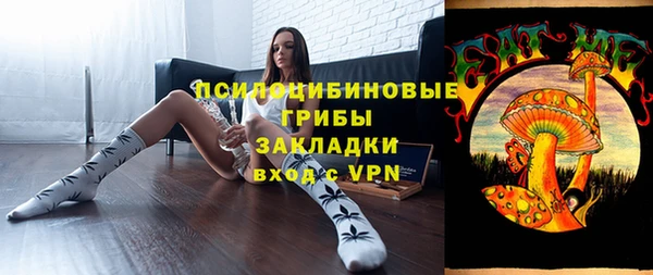 сатива Аркадак