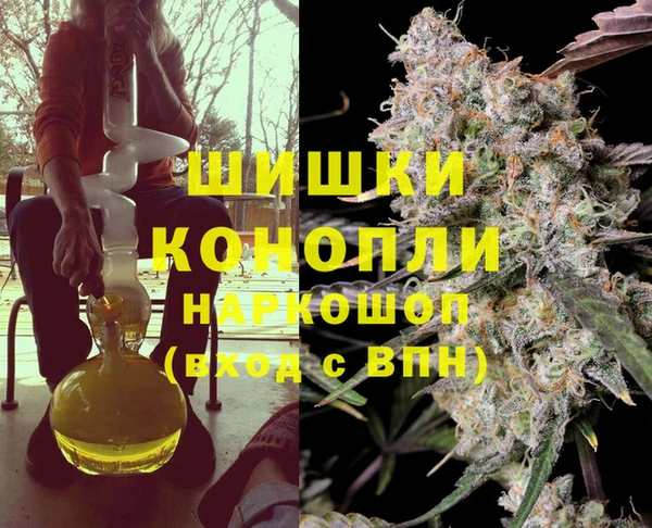 сатива Аркадак