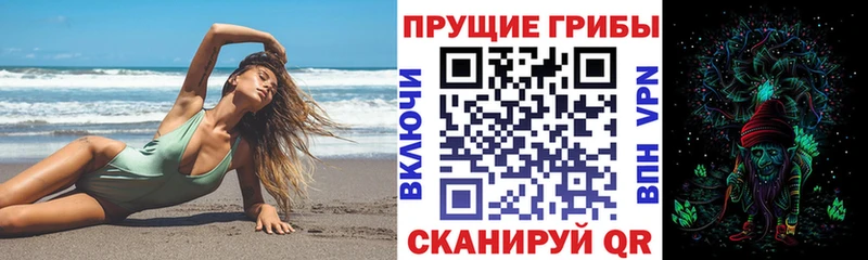 Галлюциногенные грибы Psilocybe купить наркотик Дудинка